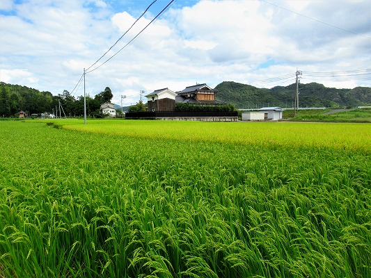 和気町大田原の農地