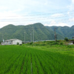 中古戸建　彌元邸