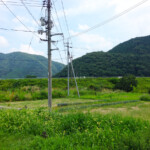 中古戸建　彌元邸