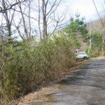 岩戸別荘地（左手藪の奥）