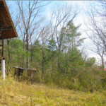 岩戸別荘地（手前建物の奥）