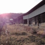 備前焼 一本松窯