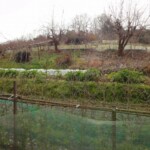 畑・竹林・山林付き売家　故倉邸（赤磐市穂崎）