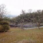 畑・竹林・山林付き売家　故倉邸（赤磐市穂崎）