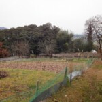 畑・竹林・山林付き売家　故倉邸（赤磐市穂崎）